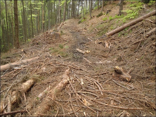 Jarná cesta okolo Slovenska