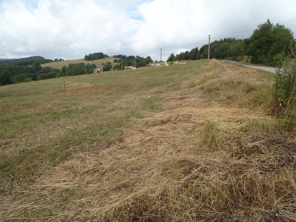 Poľsko-Slovensko-Česko